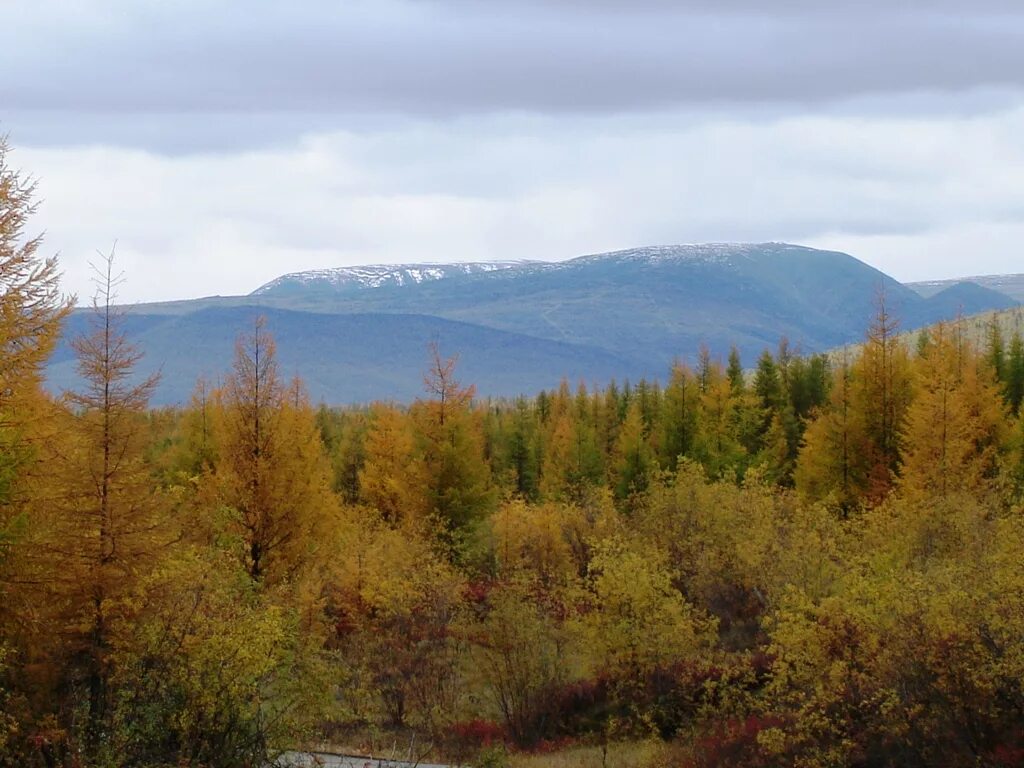 п ягодный погода. школа п. магадан п ягодное. поселок ягодный хабаровский край школа. поселок ягодный хабаровский край.