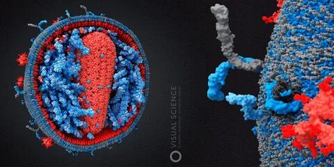 Hiv 2