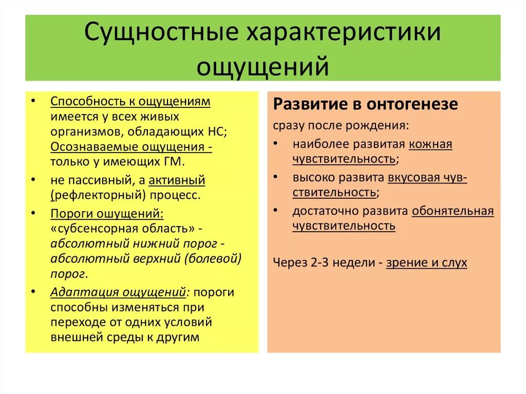 Восприятие в онтогенезе. Особенности развития ощущения. Характеристика и развитие ощущений. Развитие ощущений в онтогенезе. Характеристика процесса ощущения.