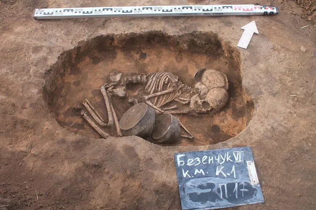 Могильников. Курганные могильники филевский парк. Грунтовые могильники. Болдыревский 1 могильник. Могильников.