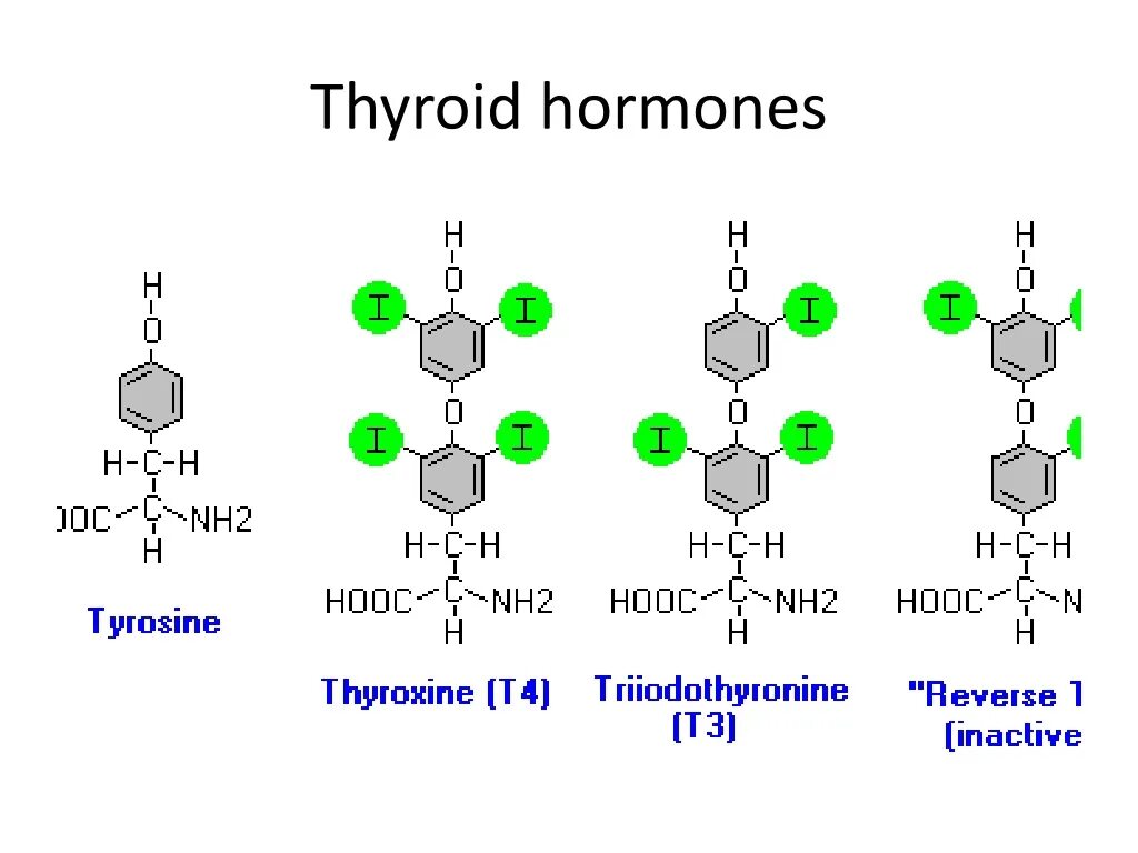 T3 t4 гормоны. Т3 и т4 гормоны. Формула тироксина и трийодтиронина. Структура тироксина и трийодтиронина.