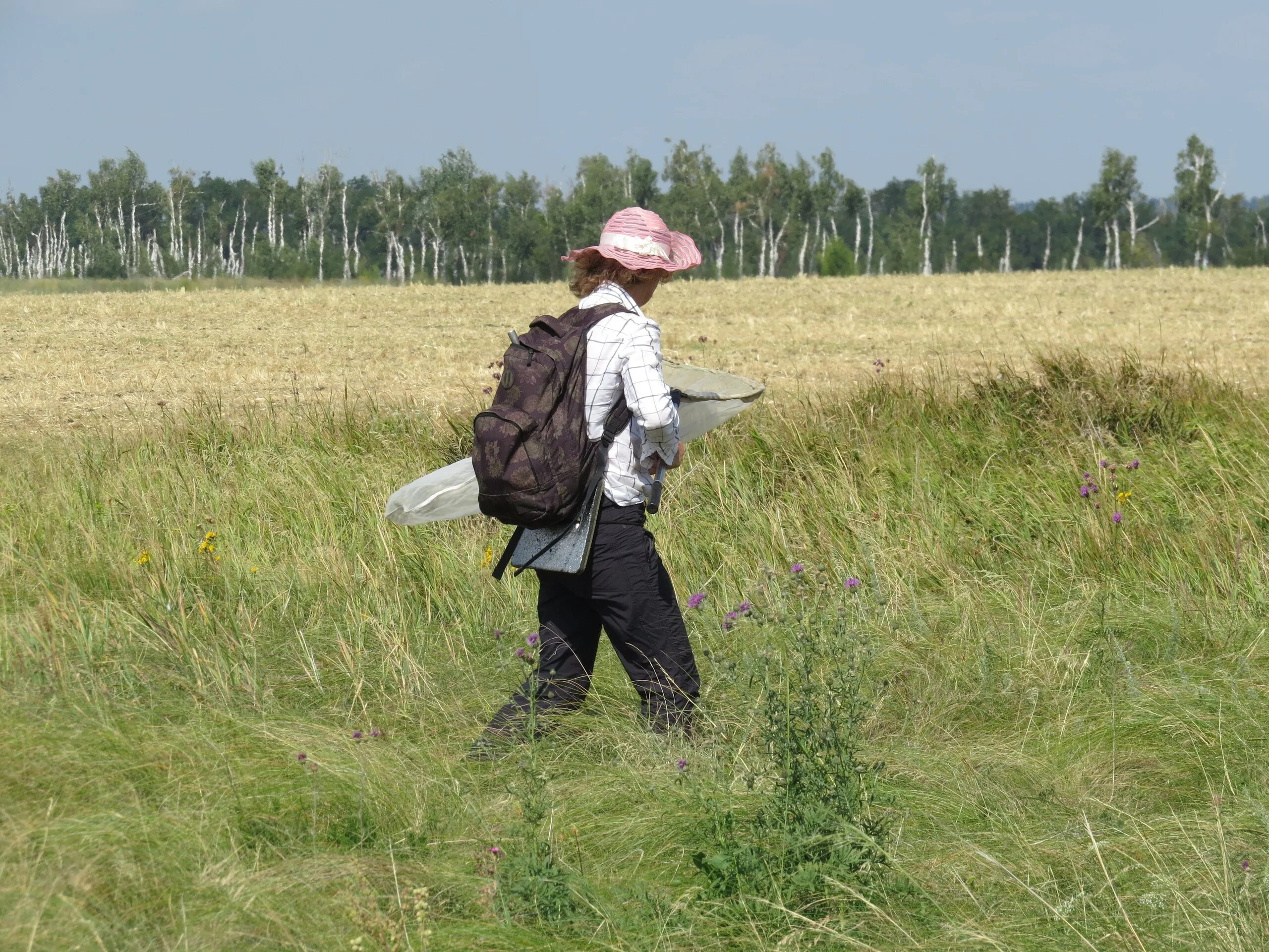 полевые научные работы. полевые исследования наблюдение. детская школа искусств приглашает на пленер. день работников заповедного дела. полевые экологические исследования.