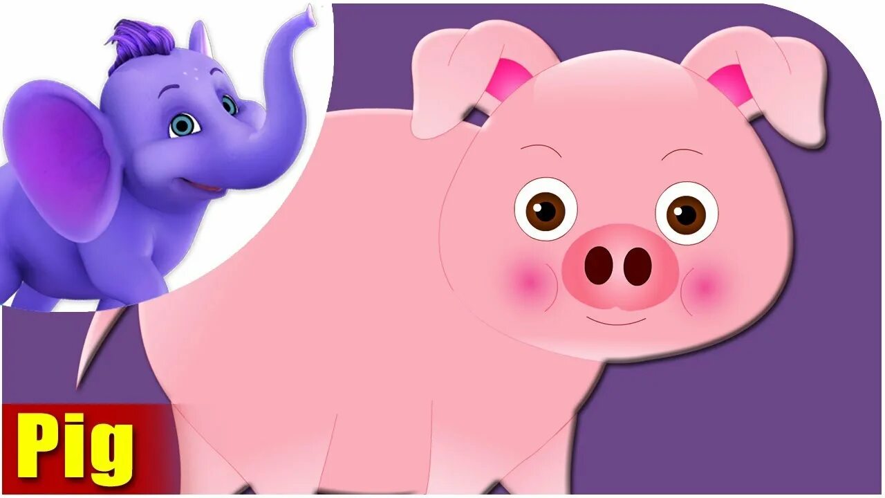Богатая свинья. Пинк флойд альбом со свиньей. Pigs pigs pigs песня. Мафия пиг. Pigs pigs pigs песня.