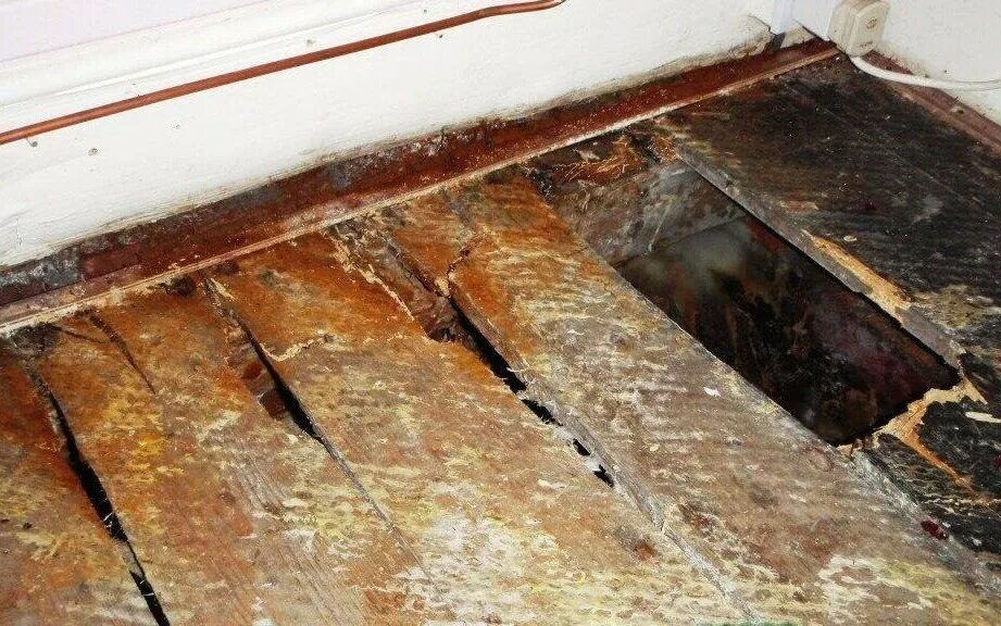 Сырость на полу. Грибок на деревянном полу. грибок под полом. грибок под линолеумом. плесень на деревянном полу.