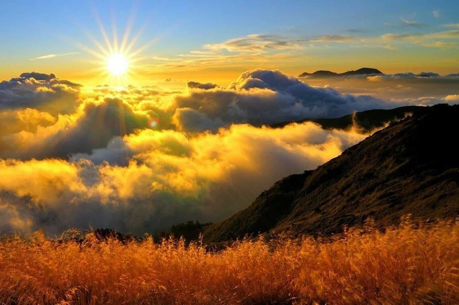 Бесплатные картинки утро. Утро в горах. Рассвет в горах. Красивое солнце. На Восходе солнца.