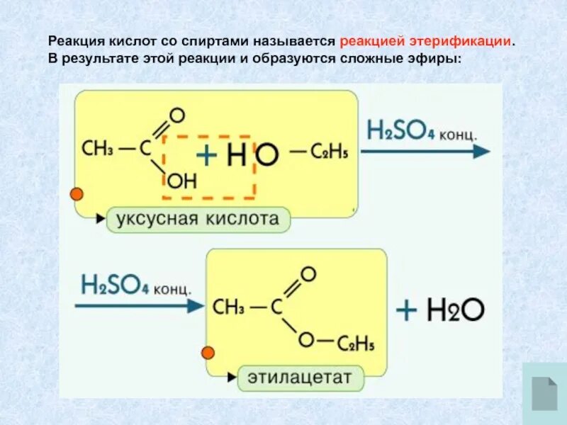 Взаимодействие уксусной кислоты со спиртами. Фенол реакция этерификации. Этанол образование сложных эфиров. Реакция получения сложного эфира с уксусной кислотой.. Реакция органических кислот сложных эфиров.