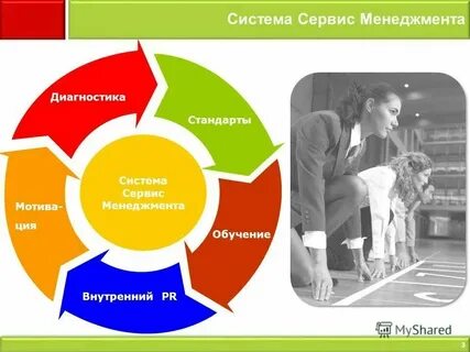 Компания система сервис