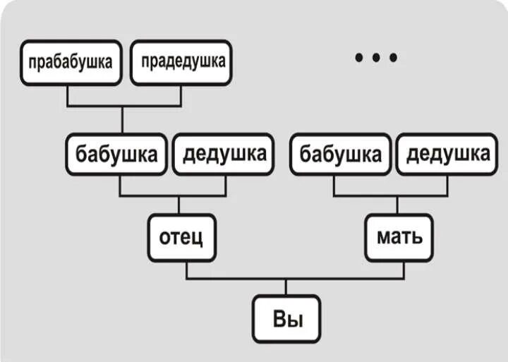 Степени родства схема. Родственные отношения. Схема родственных связей. Степени родства родственные связи в таблицах. Брат мужа отцу жены