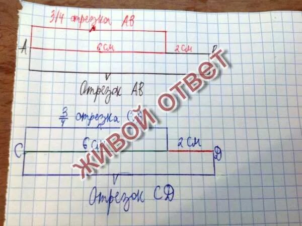 Начертить 2 разных прямоугольника. Начертите отрезок 5 см 5 мм. Найдите длину отрезка. 8 мс 10. Луч с началом в точке м.