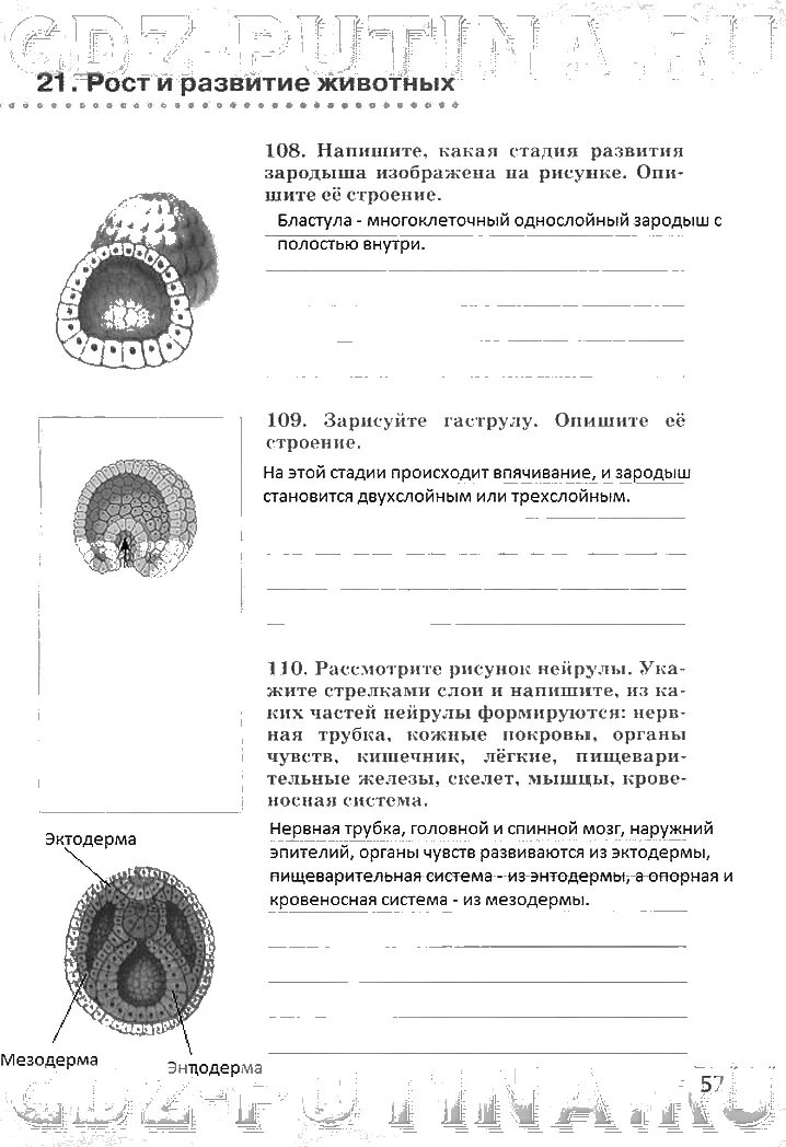 Биология 6 кл р/т Сивоглазов. Рабочая тетрадь по биологии 6 класс Сивоглазов. Тренировочные задания по биологии 6 класс рабочая тетрадь Сивоглазов. Сивоглазов. Биология. Рабочая тетрадь 6 кл.. Рабочая тетрадь ответы биология 9