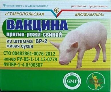 Рожа свиней вакцинация
