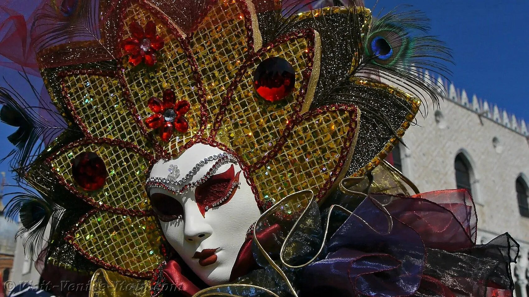 Карнавал содержание. Venetian carnival орхидея. карнавал венецианский гата.