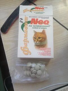 Какие витамины коту