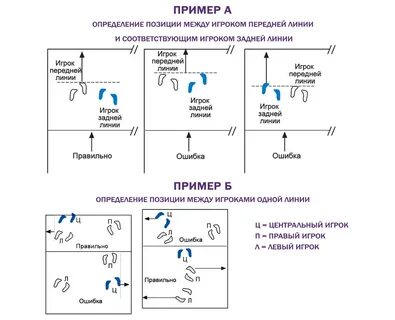 Амплуа игроков в волейболе