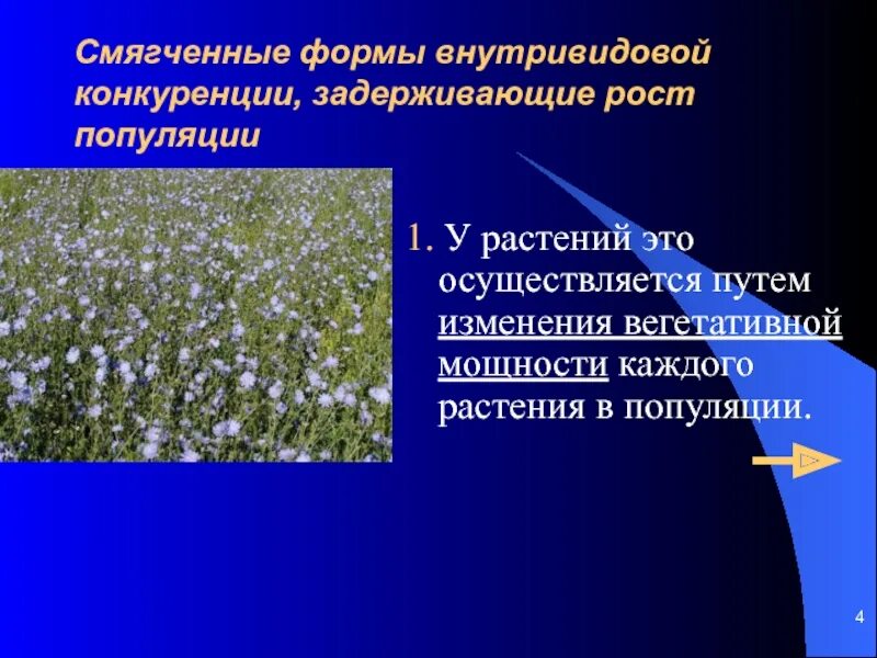 Популяция растений. Половая структура популяции растений. Возрастная структура популяции растений. Цветы популяция.