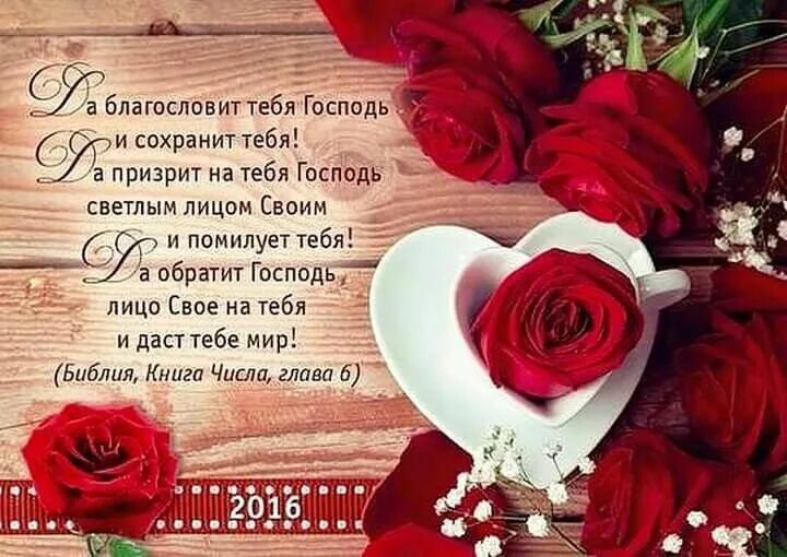 Цитаты из библии с благословениями на день. Благослови тебя господь. Цитаты из библии с благословениями на день. Поздравление с цитатой из библии. Христианские высказывания.