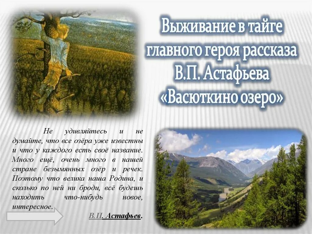 Законы тайги васюткино озеро ответы 5 класс. Правила выживания в тайге. Правила выжтвания в та. Памятка выживания в тайге. Памятка как выжить в тайге.