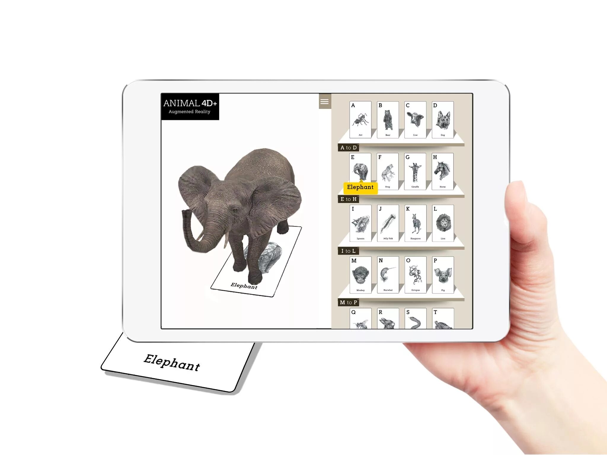 Анимал 4 д. Приложение animal 4d+. Интерактивные карточки с животными. 4d+ карточки. Animals edition