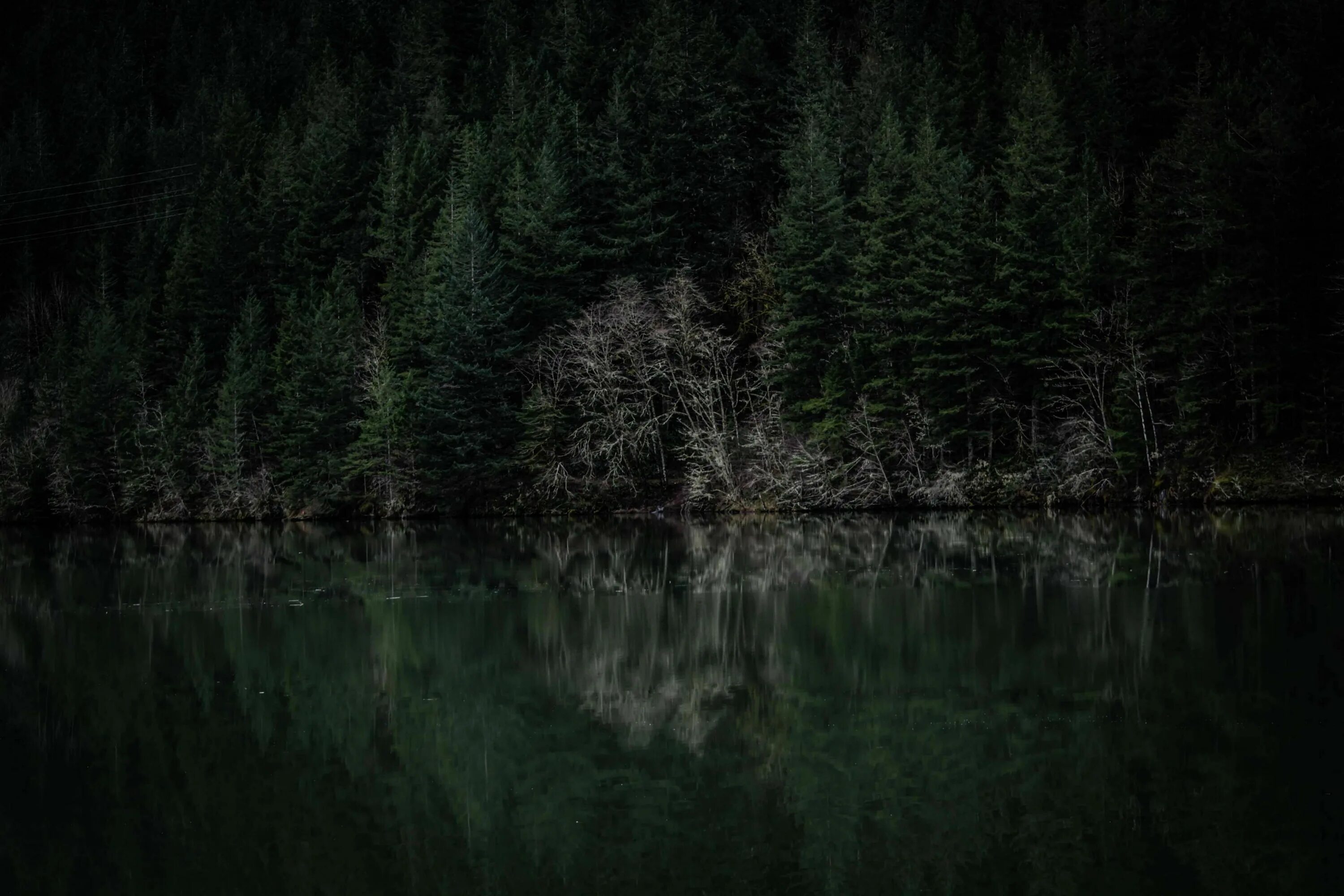 Темно ну. Мрачный лес. Темное озеро. «Ночь в лесу». Мрачная река.