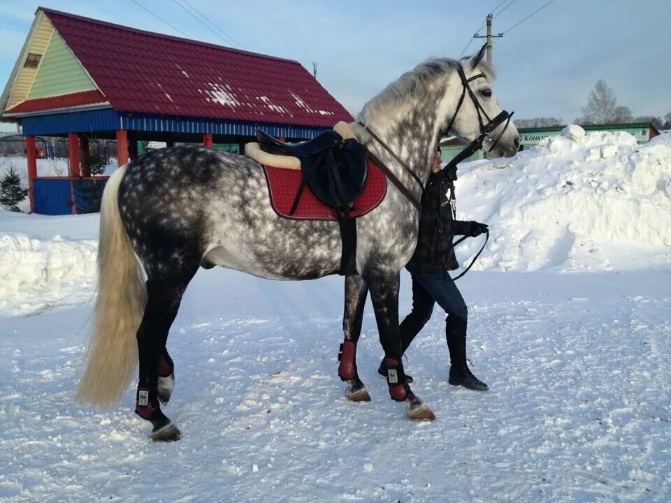 Скачать обои спорт, конный, прыжок, конь, всадник из раздела Спорт, в разрешении