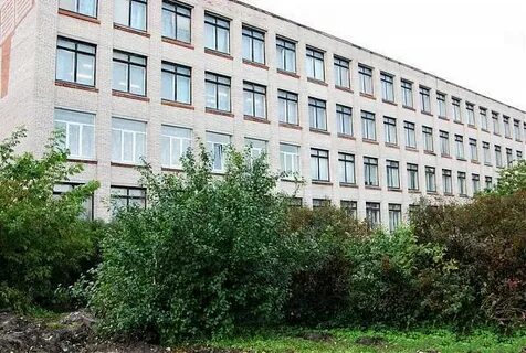 Сайт школ кингисеппа