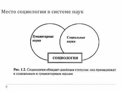 Наука как система общественных организаций