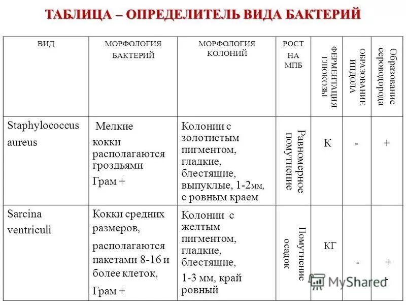 русский язык 8 класс виды односоставных предложений. глагольные односоставные предложения таблица. определитель типа предложения. придаточное определитель вопросы. виды предложений по цели высказывания.