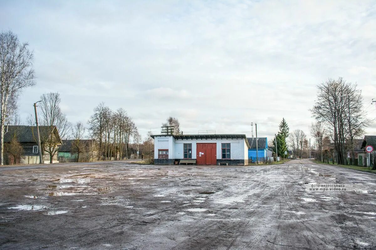 Деревня медведь новгородская область. Погода в шимском районе медведь. Погода в шимском районе медведь. Деревня медведь новгородская область. Мшага деревня новгородская область.