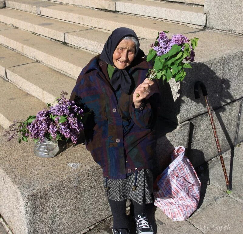 Сирень бабушки. Бабушка продает цветы. Бабки с цветами. Бабка с цветами. Бабушки продают цветочки.