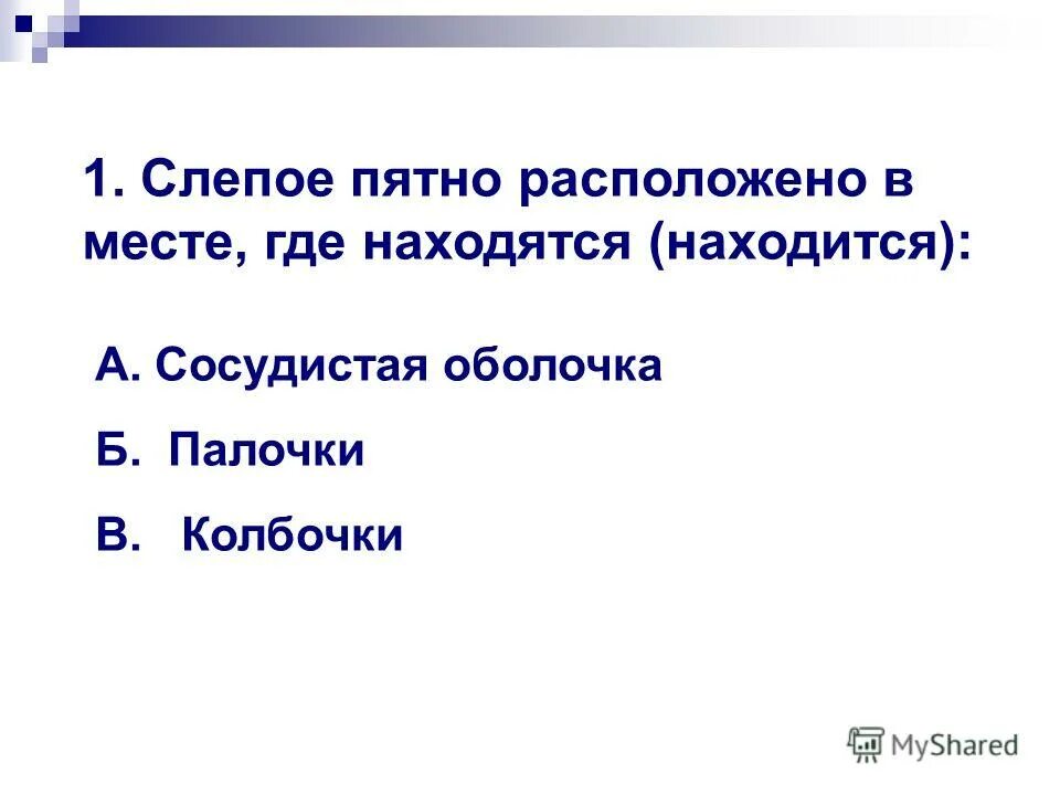 Слепое пятно расположено в месте где. Слепое пятно расположено. Слепое пятно расположено в месте. Слепое пятно находится в месте где находится. Слепое пятно расположено в месте где находятся.