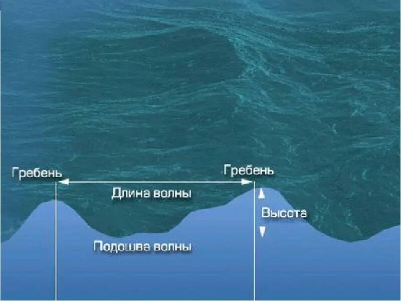 Движение воды в океане 6 класс