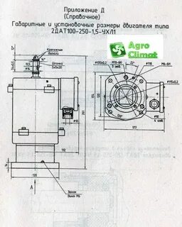 250 100 2