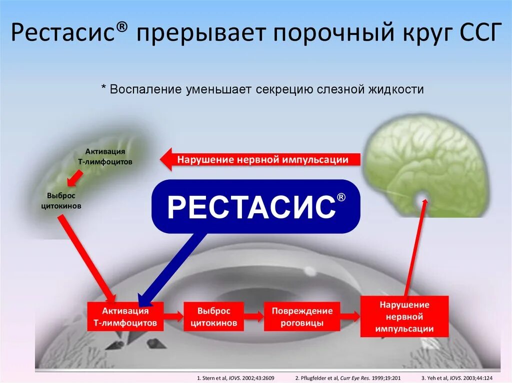 Порочный круг боль в спине. Порочный рыцарь. Пример развития порочного круга. Порочный круг примеры. Малугаз порочный.