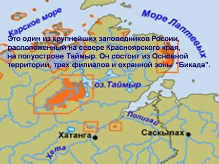 Тундровый заповедник расположен на полуострове