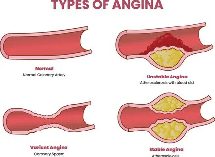 Eva Mendes jinsi balandligi vazni