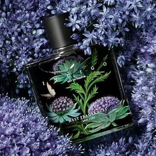 i?id=4b4c545bb709277650af3330b09e32bf5bc08b77 10843465 images thumbs&n=13