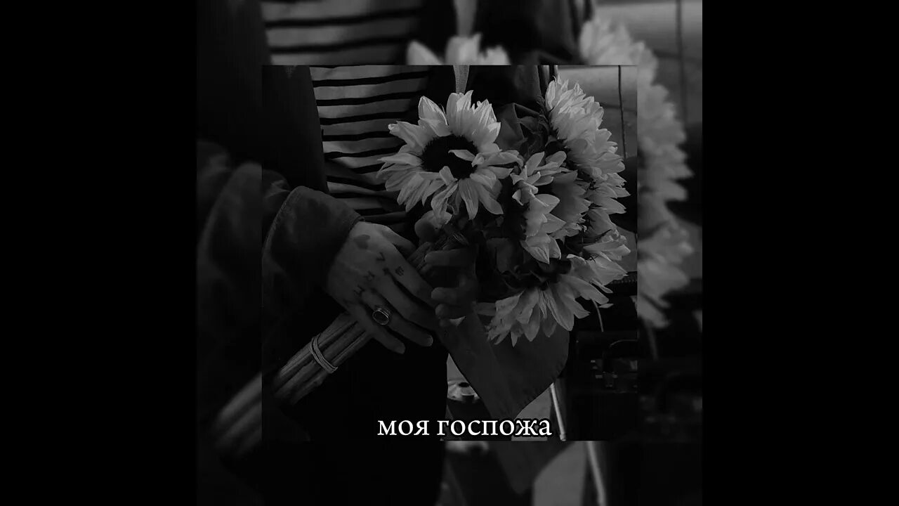 Ты моя госпожа песня болит душа. Adil моя госпожа. Песня госпожа. Текст песни моя госпожа Adil. Винтаж госпожа песня.