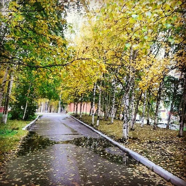 Погода в тынде амурской области. Тында осень. Тында природа. Тында красивые места. Тында осенью.