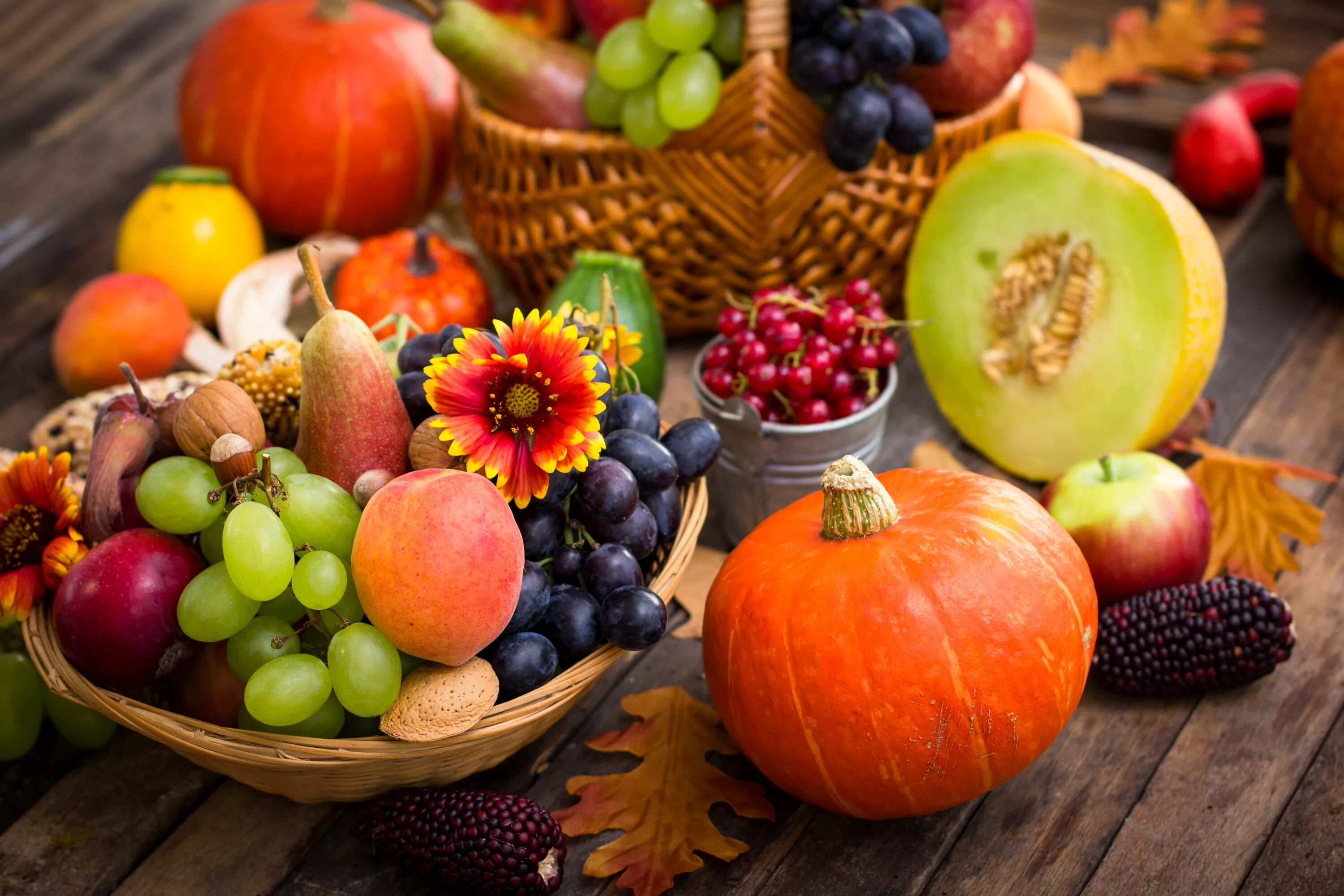 Овощи плоды и ягоды. Осенние овощи и фрукты. Осенний урожай. Плоды осени. Осенние фрукты.
