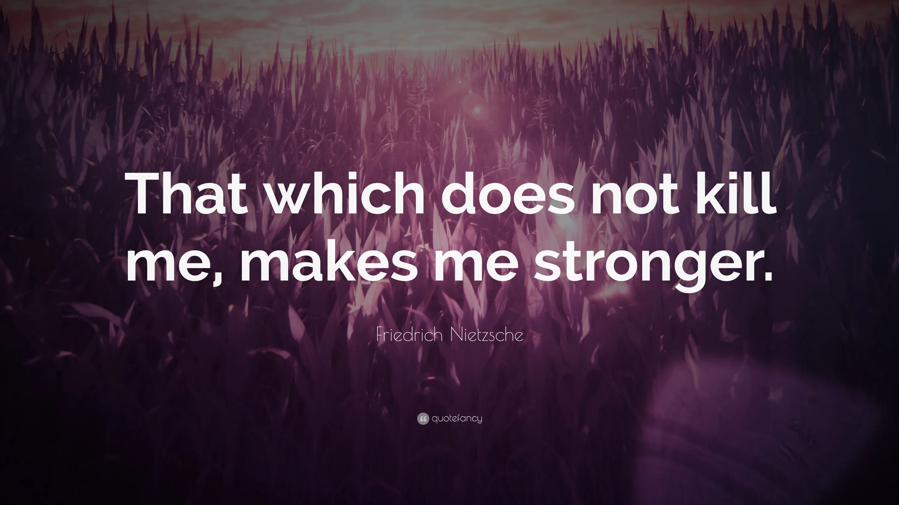 You make me everything. Make me stronger. What does not Kill you makes you stronger. What doesn't Kill us made us stronger. That doesn't Kill us makes us stronger.