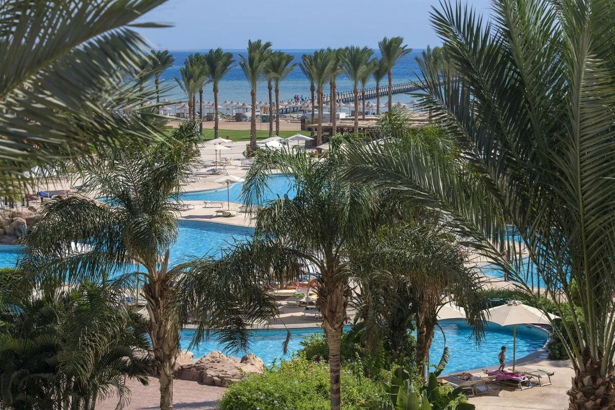 Stella Makadi Beach Resort Bay 5 Spa риф. Египет из новосибирска 2024