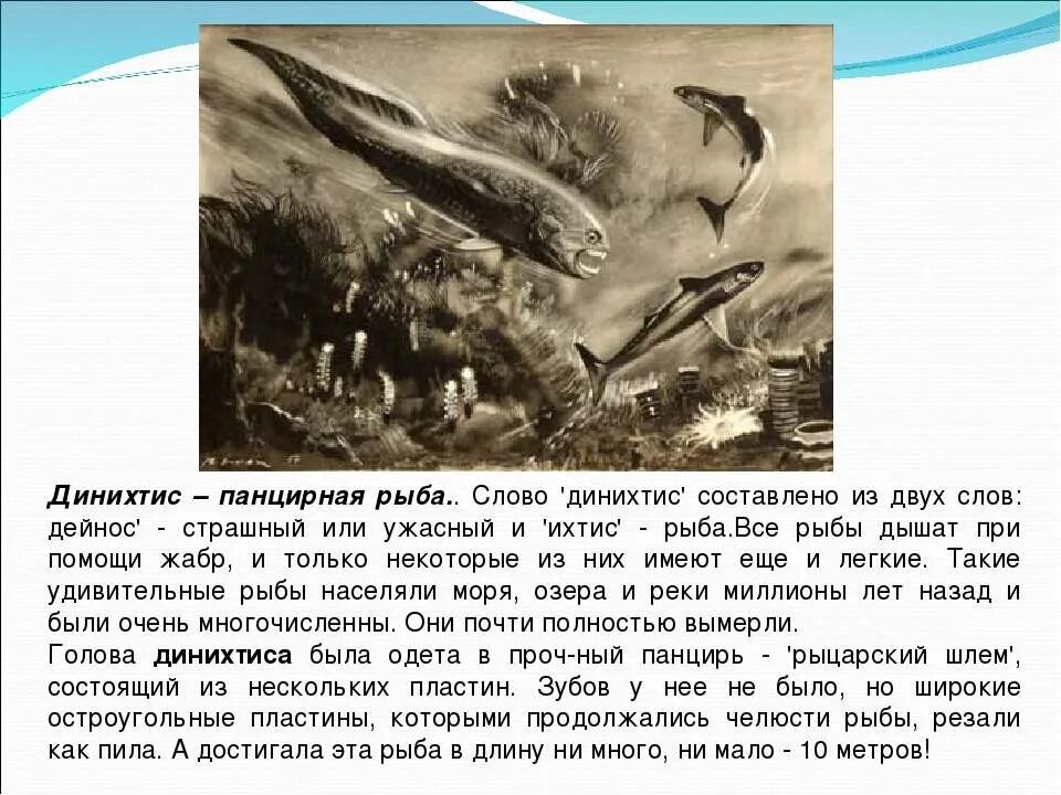 Карась презентация для детей. Однокоренные слова к слову рыба. Интересные факты о аквариумных рыбках. Рыба 2 текст. Динихтис рыба.