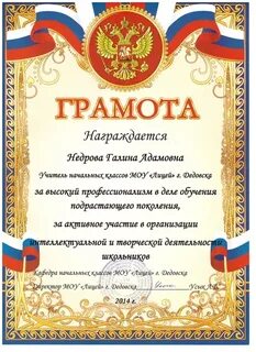 Грамота за высокий профессионализм