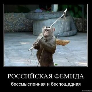 Это глупо и бессмысленно