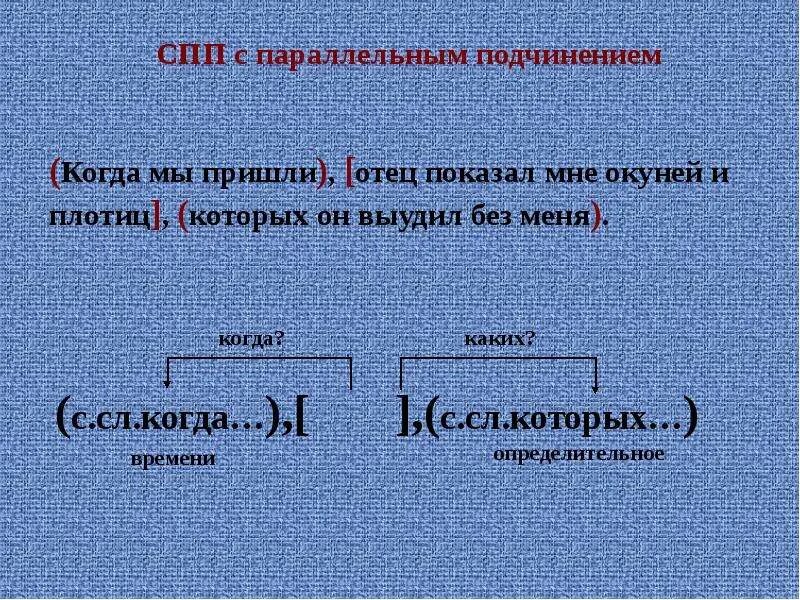 СПП С параллельным подчинением. СПП С параллелтным подчинение. Сложноподчиненное предложение с параллельным подчинением. Придумать предложения с параллельным подчинением.