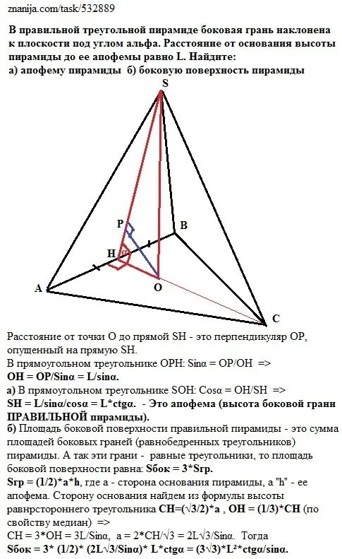 Углы на боковых гранях и основании пирамиды. Боковая грань правильной треугольной пирамиды. Углы в правильной треугольной пирамиде. Высота грани треугольной пирамиды. Основанием треугольной пирамиды является равнобедренный треугольник
