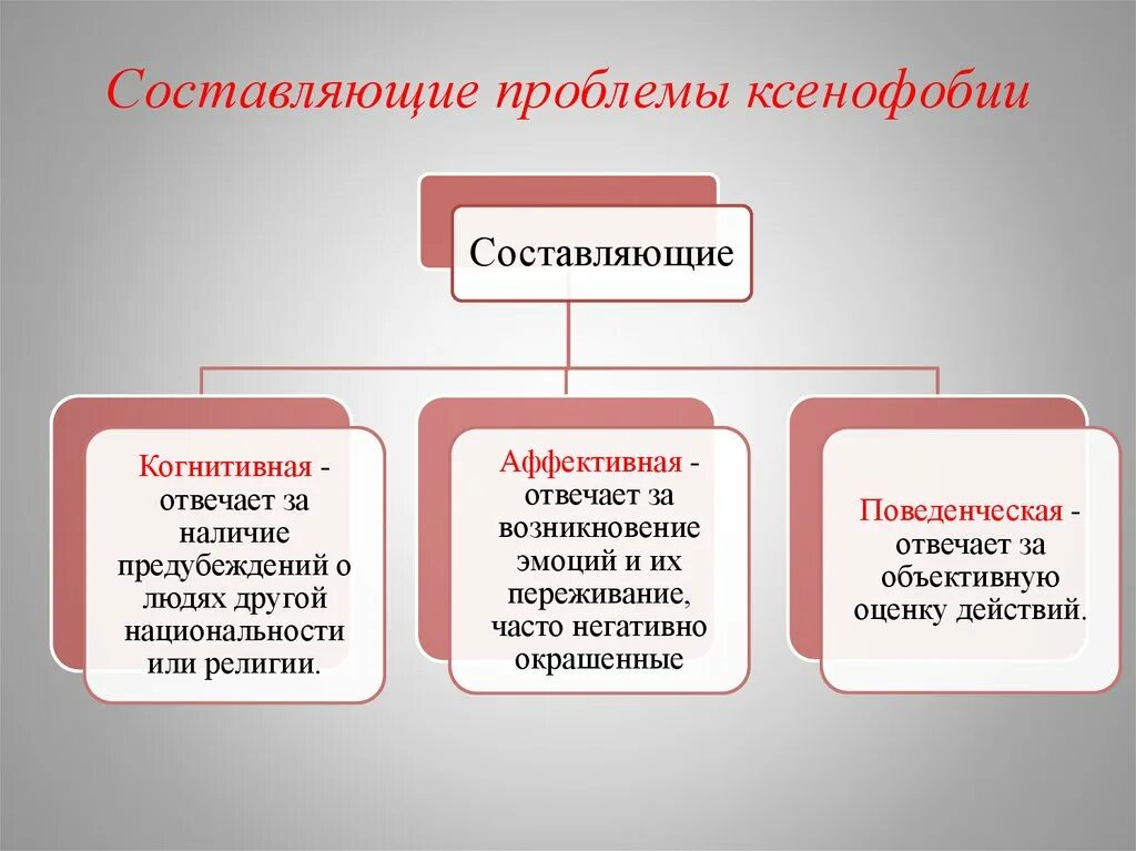 Составляющие проблемы ксенофобии. Виды ксенофобии. Формы проявления ксенофобии. Ксенофобия презентация. Ксенофобия профилактика