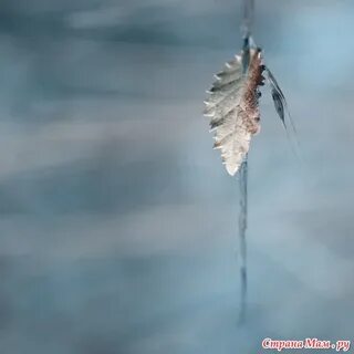 Синее небо и свежее дыхание ветерка