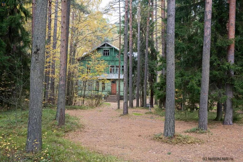 ушково ленинградская область. прогулка по ушково. прогулка по ушково. детский городок березка в ушково. ушково ленинградская область.