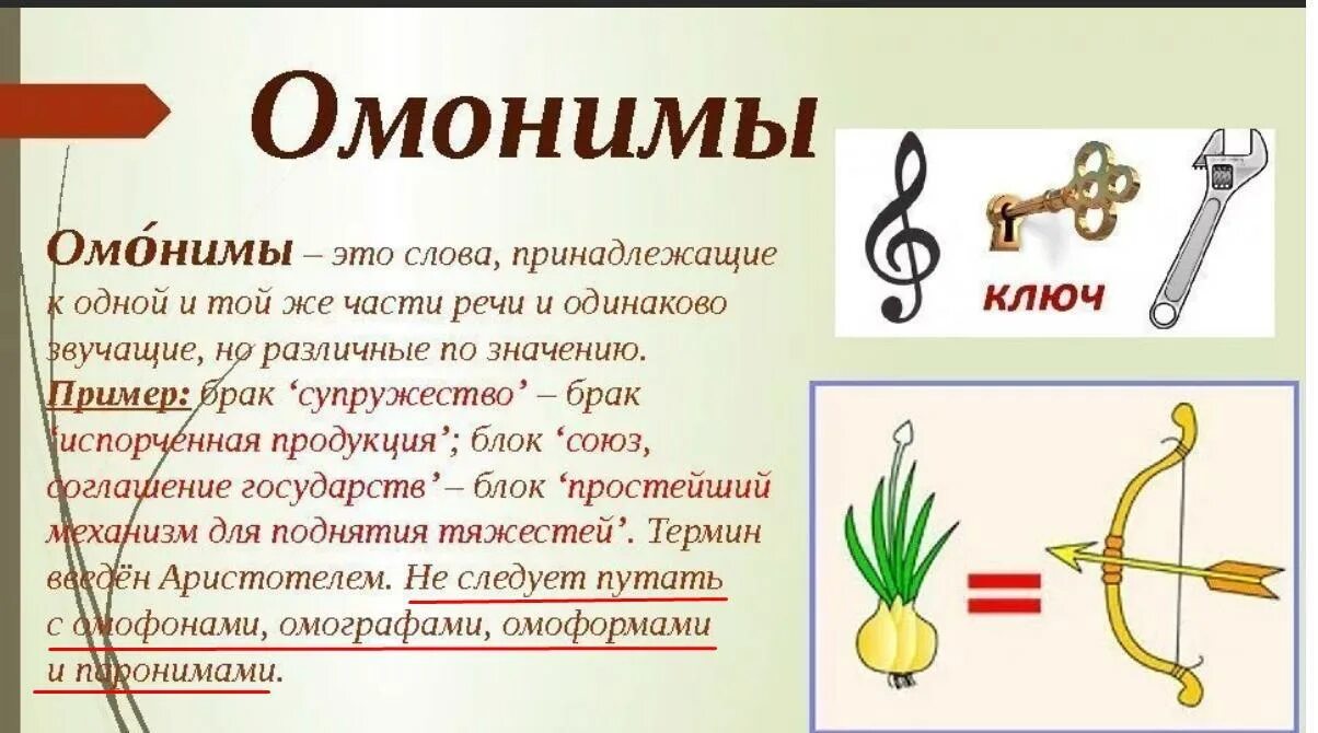 Слова маленьком является. Омонимы. слова омонимы. омонимы примеры. что такое омонимы в русском языке.